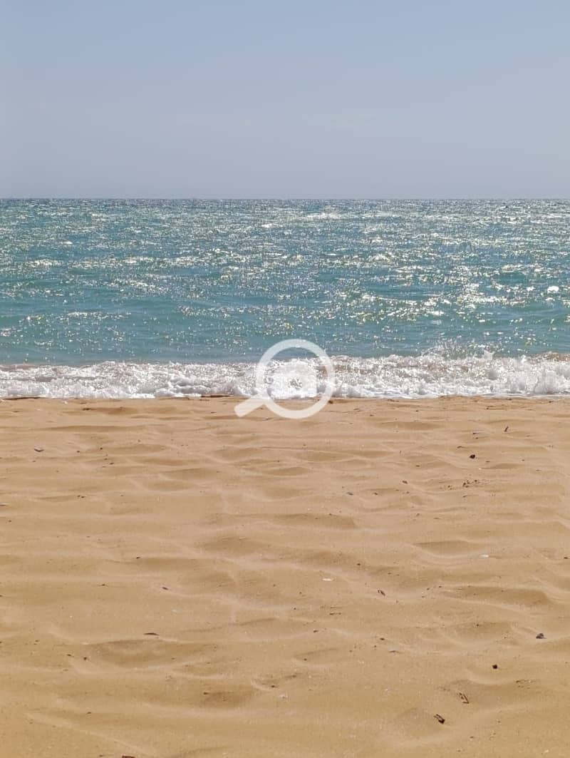 8 WhatsApp Image 2026-01-21 at 18.05. 56. jpeg