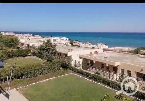 3 WhatsApp Image 2026-01-22 at 12.27. 13. jpeg