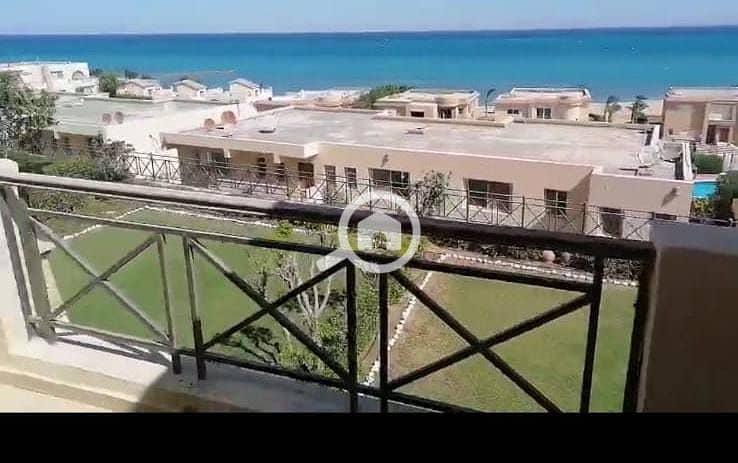 4 WhatsApp Image 2026-01-22 at 12.27. 33. jpeg