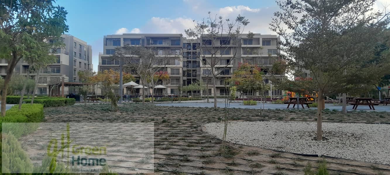 15 20260109_161942. jpg