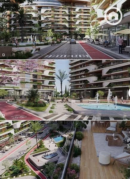 3 508973214_122148656978396007_5735083281647924733_n. jpg