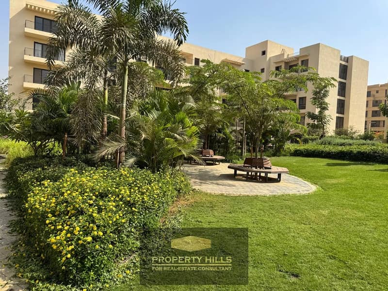 6 37876b25-8d85-44be-b112-ea71b7ba6d02. JPG