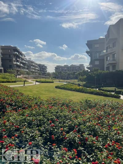 3 Bedroom Apartment for Sale in New Cairo, Cairo - WhatsApp Image 2025-12-29 at 1.13. 49 PM (3). jpeg