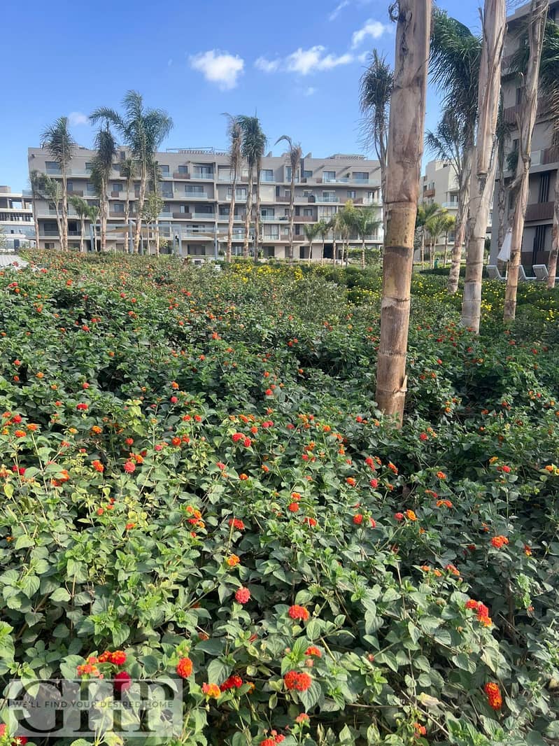 3 WhatsApp Image 2025-12-29 at 1.13. 48 PM (1). jpeg