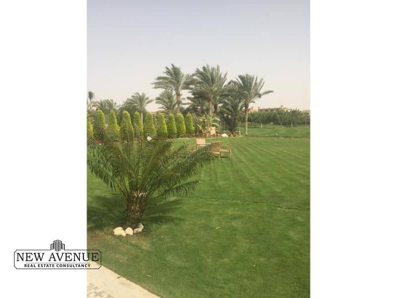 4 WhatsApp Image 2026-01-20 at 2.29. 28 PM. jpg