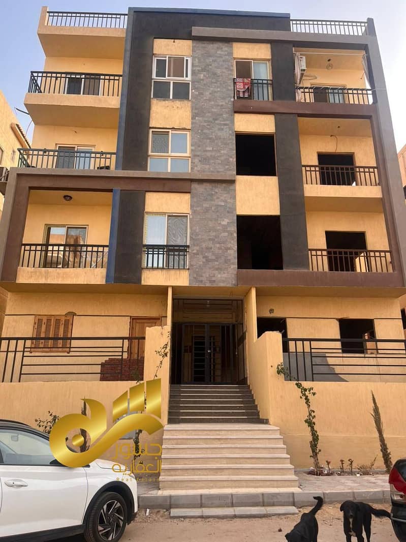 7 500653781_10235818734903792_6368697824711345692_n. jpg