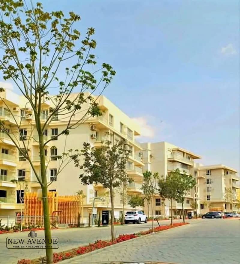 6 WhatsApp Image 2026-01-22 at 9.47. 10 AM (1). jpeg