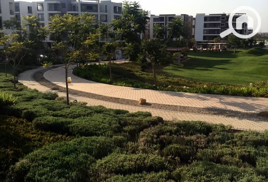 3 227dc15d-f6dd-4cff-a76b-55416dd45337. jpeg