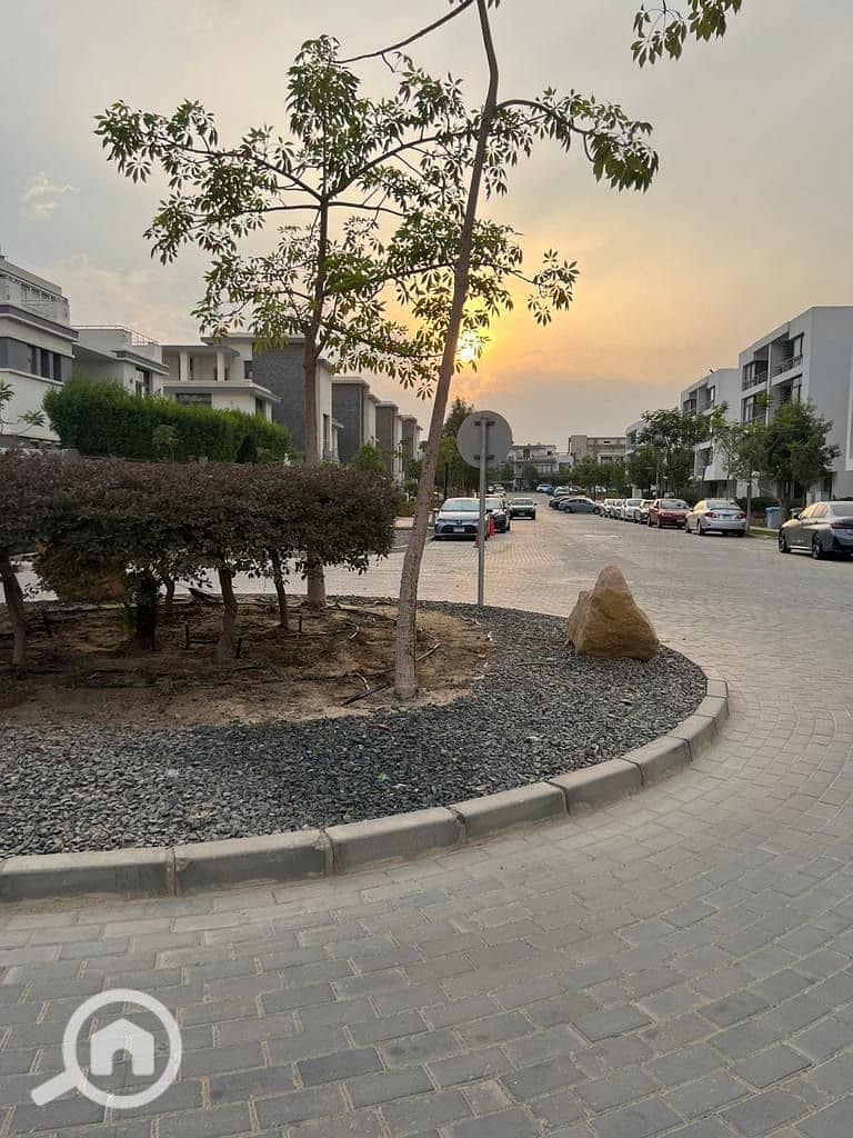 4 8b09037d-2256-48ee-8926-3420add5b880. jpeg