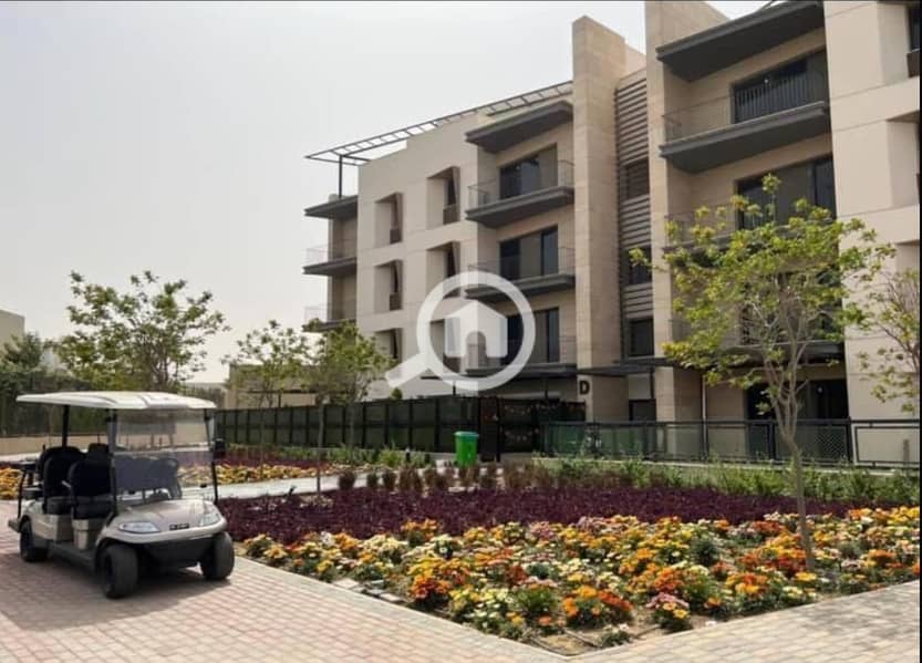 IMG_7366. jpeg IMG_7366. jpeg