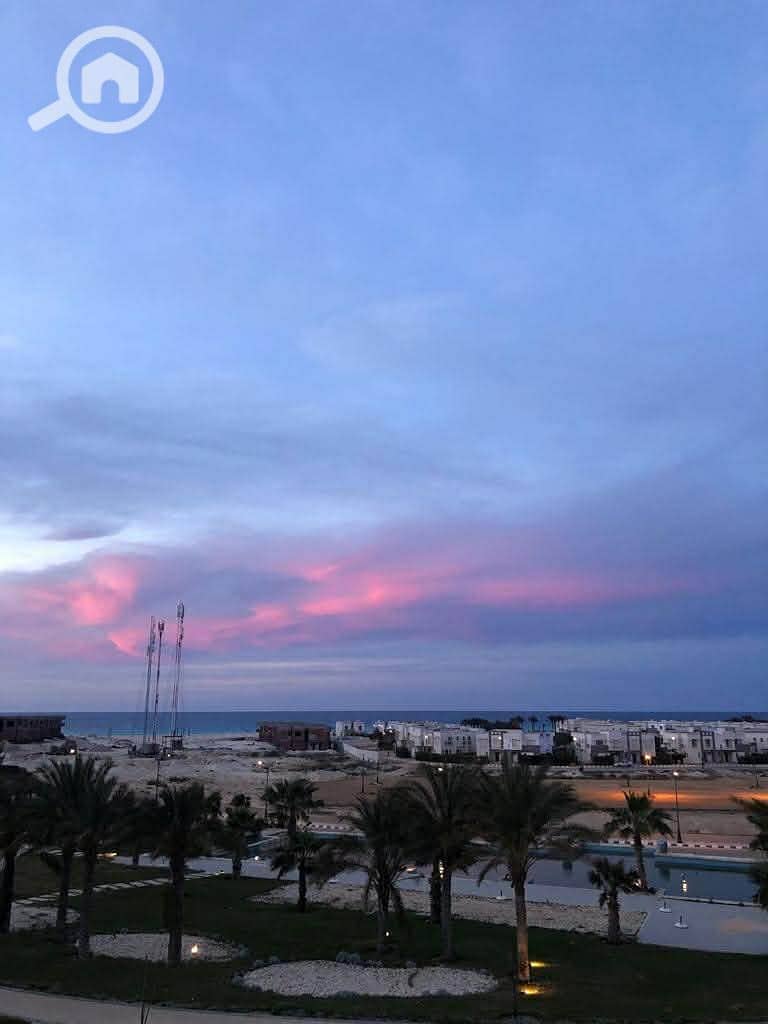 4 5a721888-4f88-487d-858f-455a8115b6eb. jpg