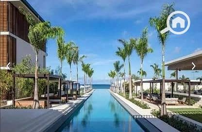 6 5617143-0c428o. jpg