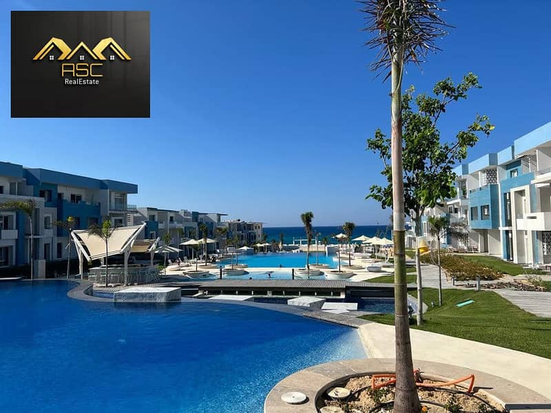 11 455283301_3768985446747329_1029683938087896985_n. jpg