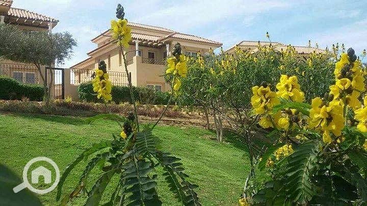 11 IMG-20251028-WA0054. jpg