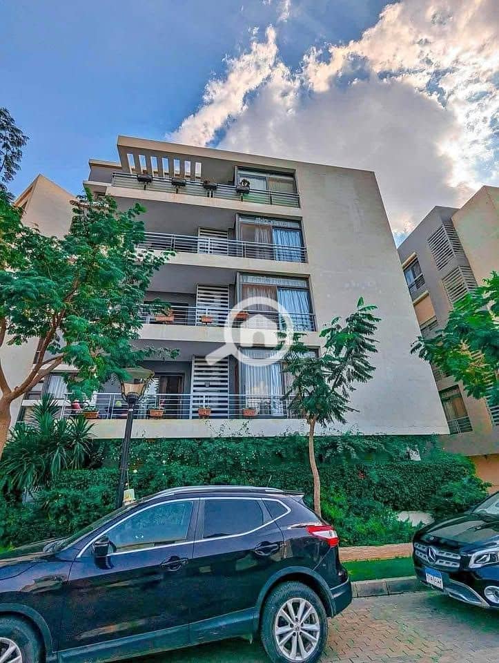 11 594068533_1906701476871101_2085067114419031996_n. jpg