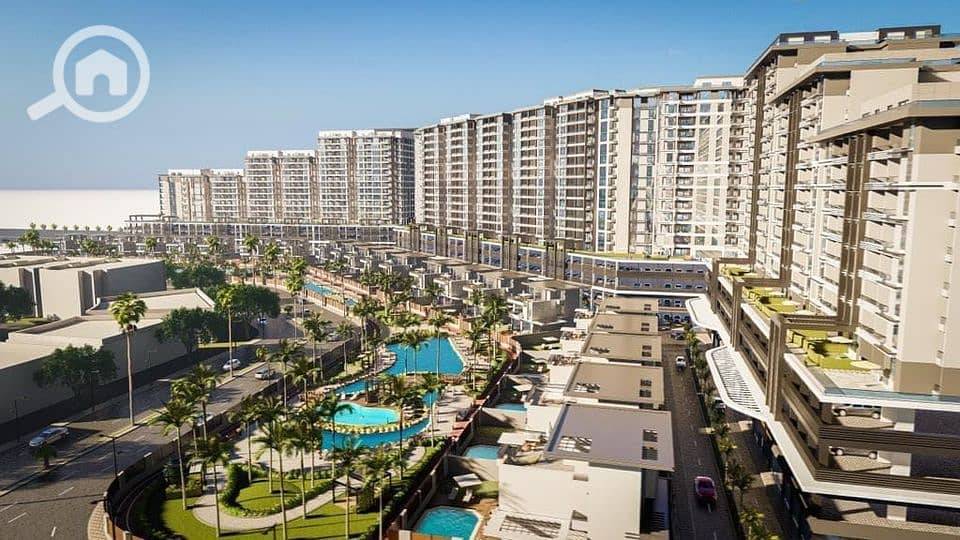 12 440936165_7831721553582887_4876318864567714276_n. jpg