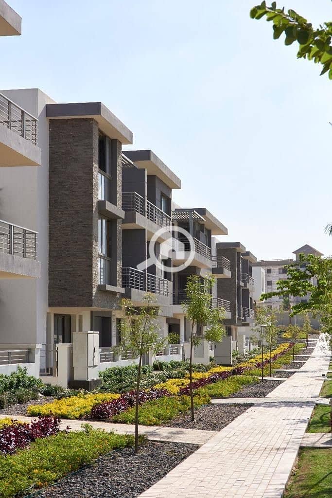 10 1cab3985-8208-4deb-a384-bc204dc8b56f. jpeg