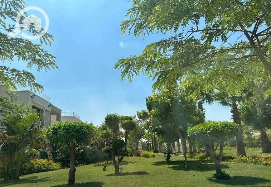 6 WhatsApp Image 2025-07-06 at 4.13. 21 PM. jpeg