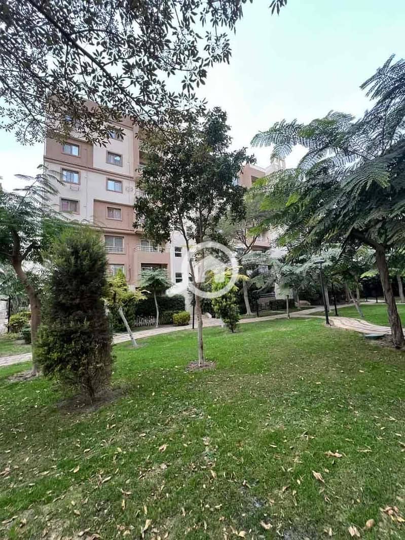 6 56914143-e8d7-4952-8fc9-6e3f244fb5e4. jpg