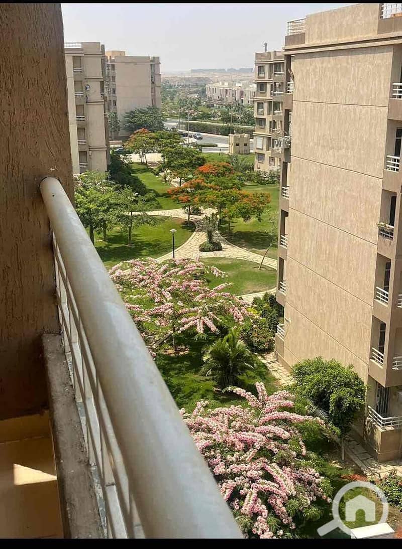 7 979cca2a-6ef9-49c6-a94d-0117626f4d37. jpg