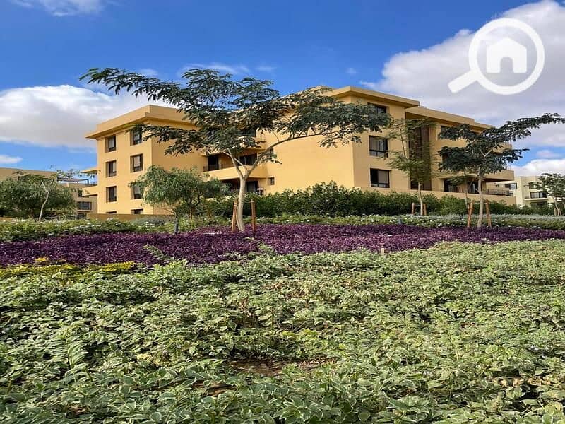 11 IMG-20250320-WA0103. jpg