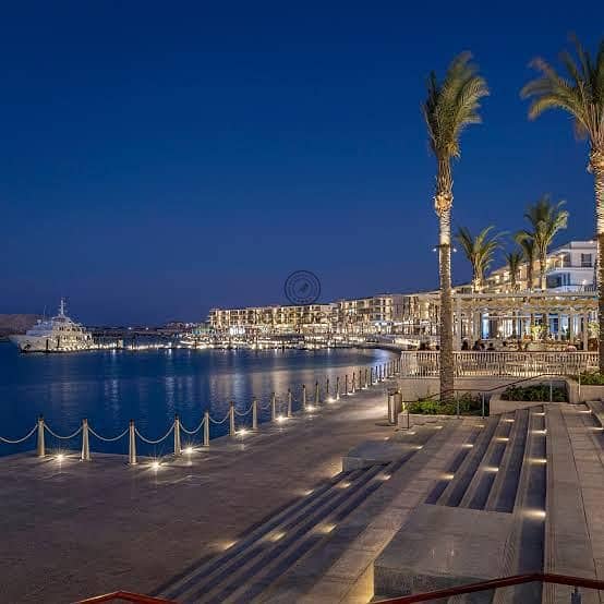 3 7e878077-7142-4ce9-ab84-81426deebba9. jpg