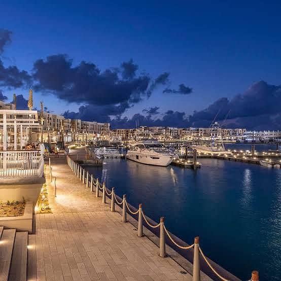 5 92d5fa98-56ba-4352-9d04-ff7f87df3c56. jpg