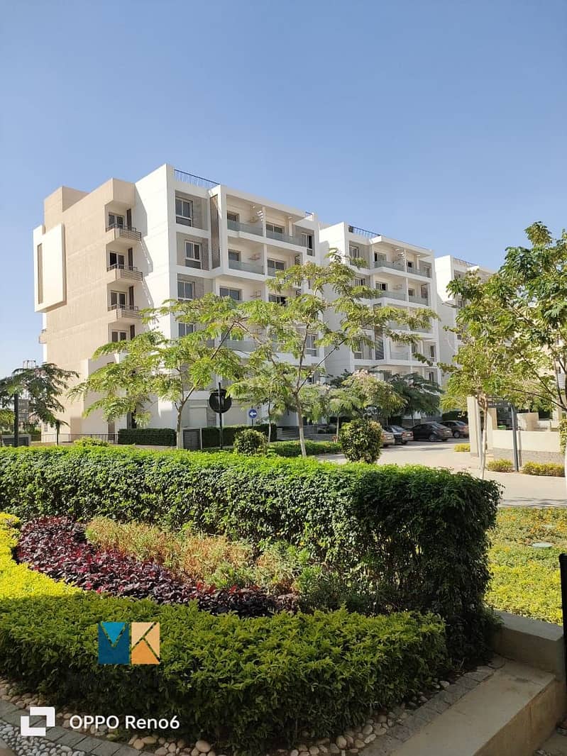 28 cfa35a78-fc05-48ee-806a-362f9210a111. jpg