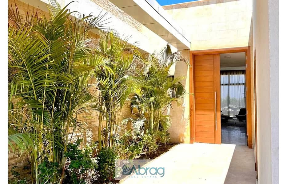 6 7824161-a4dd8o. jpg