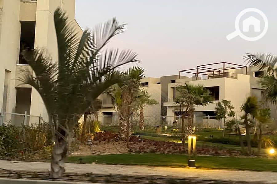 7 Background (2). png