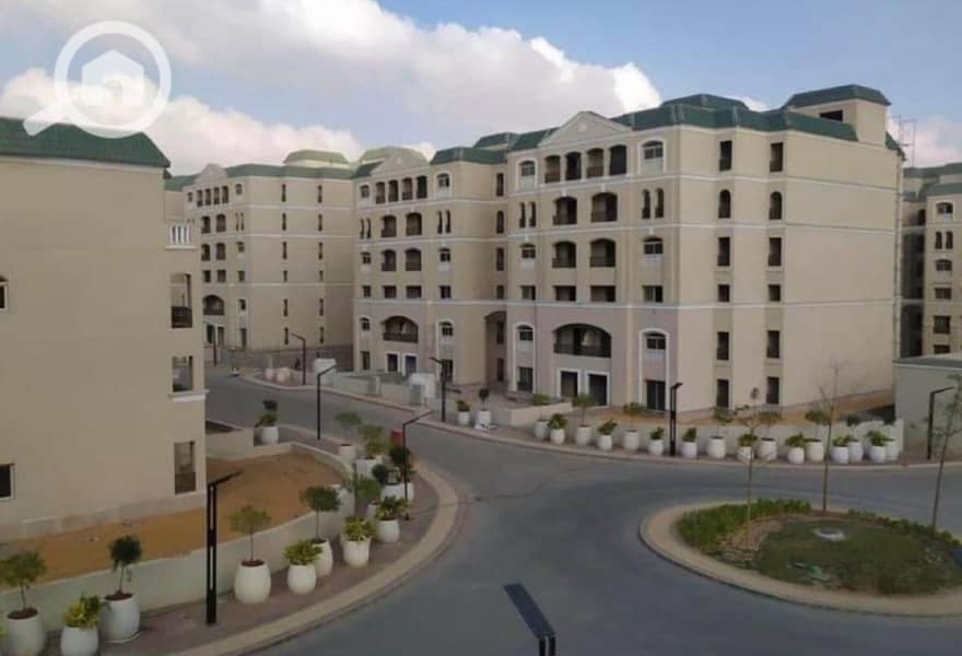 4 413cabd8-fd28-4719-8e3c-5f28b7d2df33. jpg