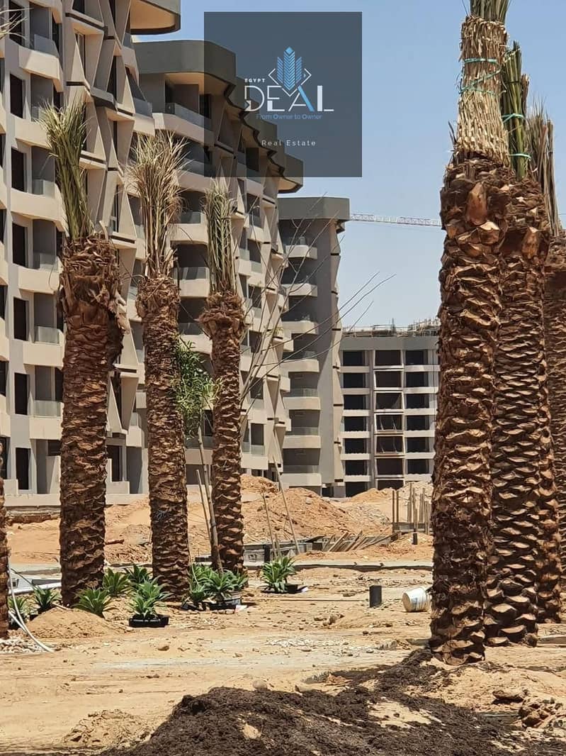 4 4ebb2f7d-e96a-4288-854c-c8299b12d963. jpeg