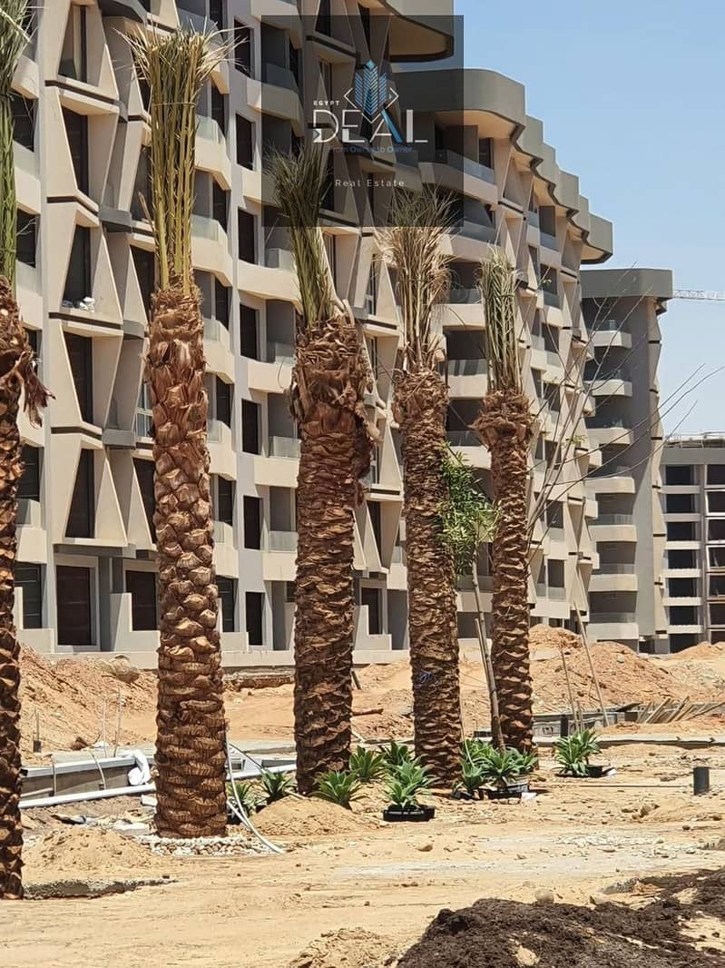 6 0cdec82f-d70a-4799-b17f-283fba88c2bf. jpeg