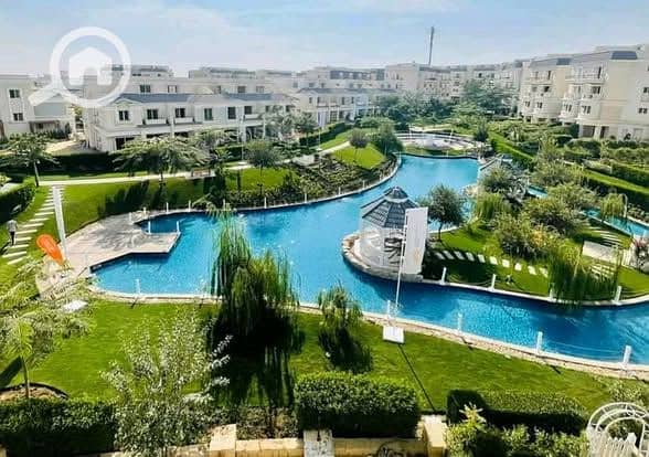 7 571324409_122256761450032437_7810952779758739943_n. jpg