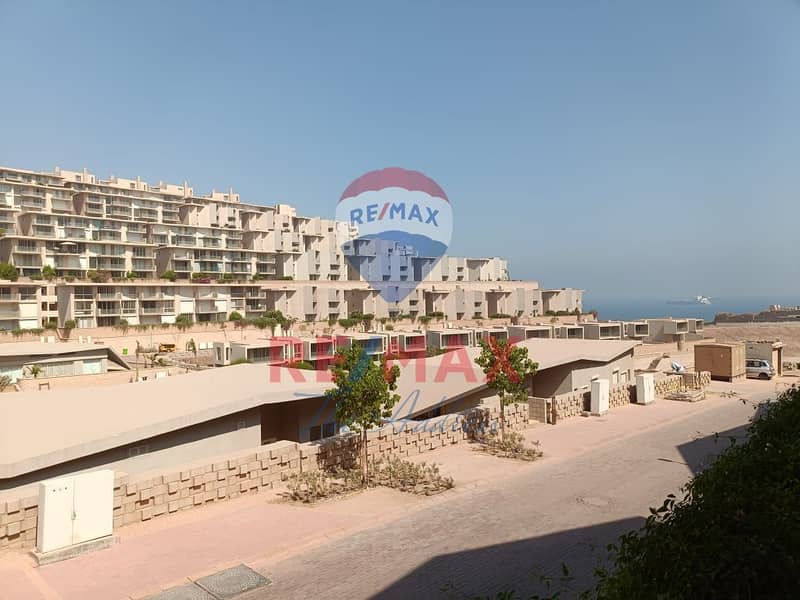 4 WhatsApp Image 2026-01-22 at 4.19. 33 PM (1). jpeg