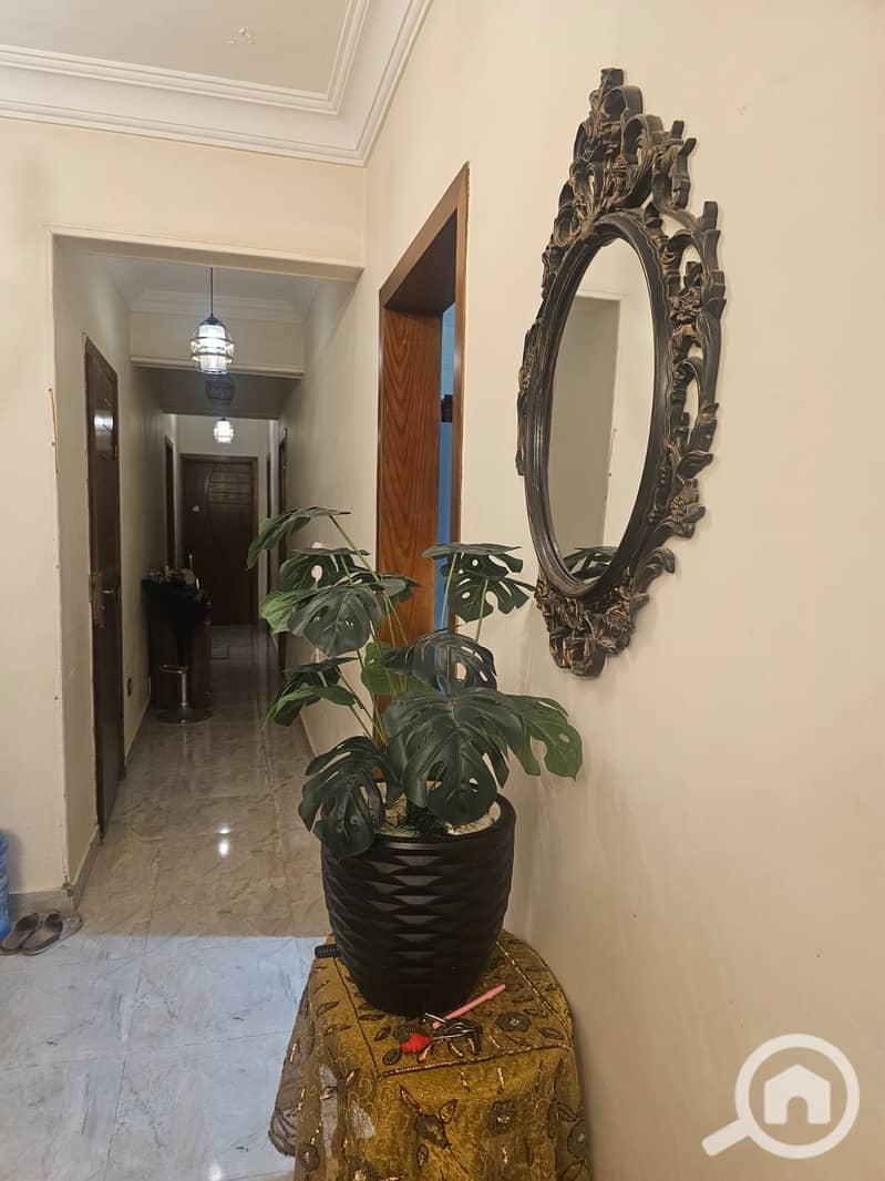 5 066c4549-5dc3-42ab-81bc-c781f05c09d8. jpg