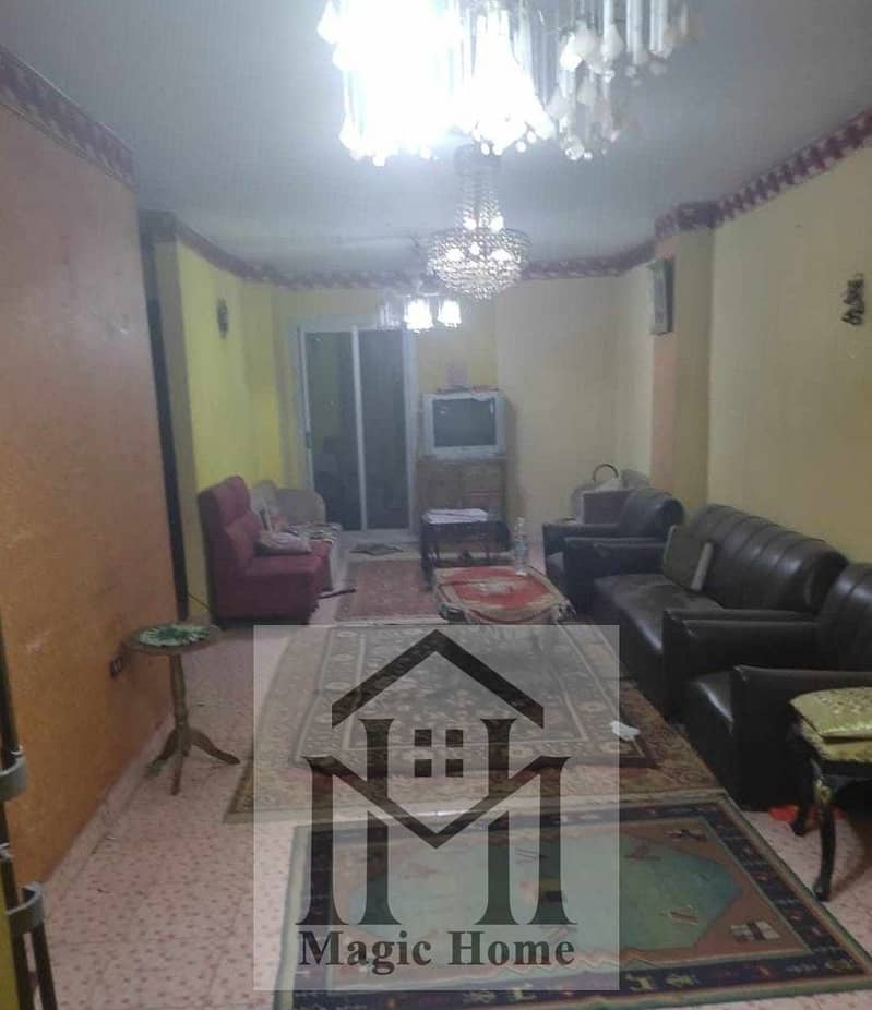 8 aa032243-8bff-4791-b7dd-2675f00fecd5 (1). jpg