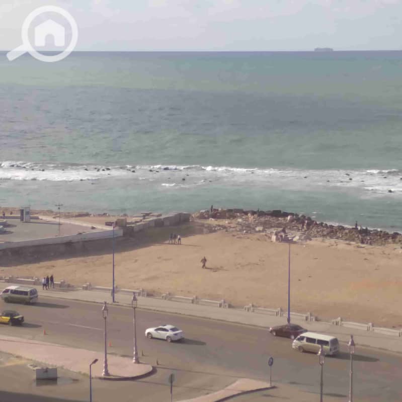 1000282554. jpg 1000282554. jpg