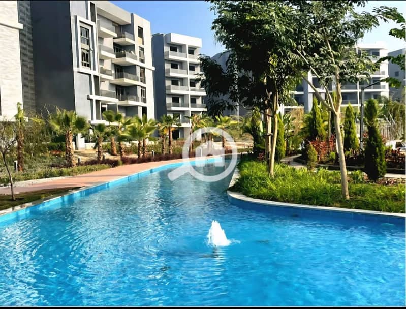 13 photo_17_2026-01-13_14-53-58. jpg