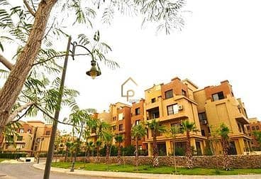 4 67bdddc9d427d222006931. jpg