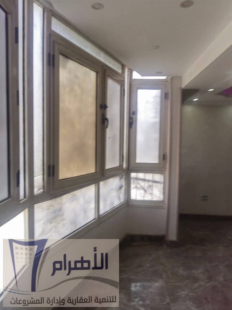 10 495453610_2440107343023144_6279027978637018452_n. jpg