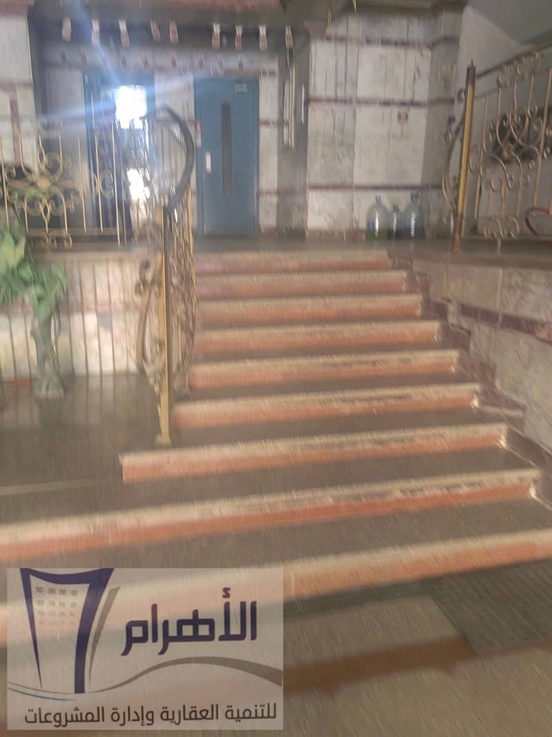 16 495611245_2440108686356343_8285718986902996620_n. jpg