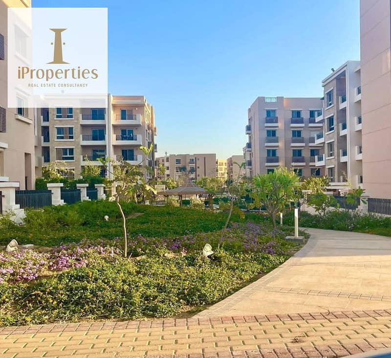 2 WhatsApp Image 2025-07-13 at 4.21. 08 PM. jpeg