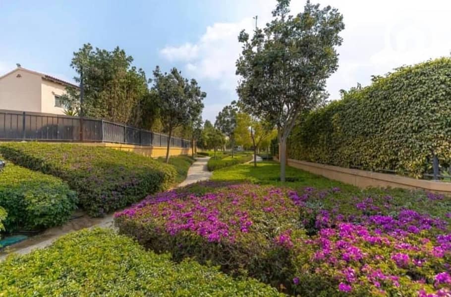 5 WhatsApp Image 2026-01-22 at 4.53. 39 PM (1). jpeg