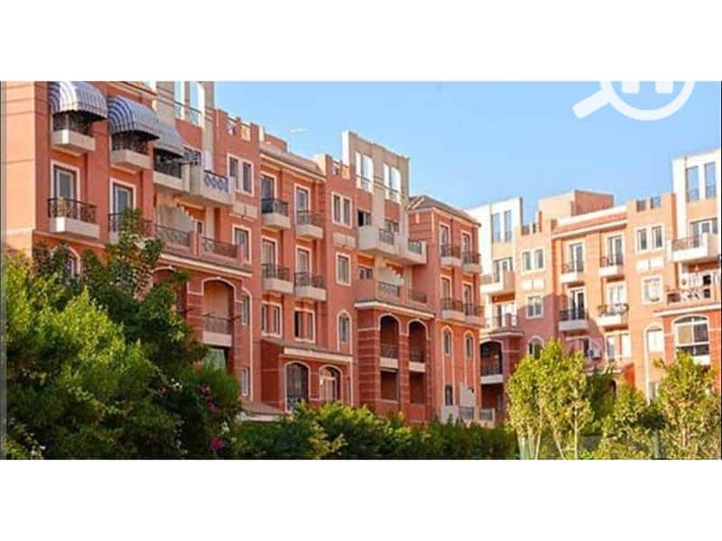 9 d6eeec0a-c129-4e6f-b046-1b824d13a357. jpg