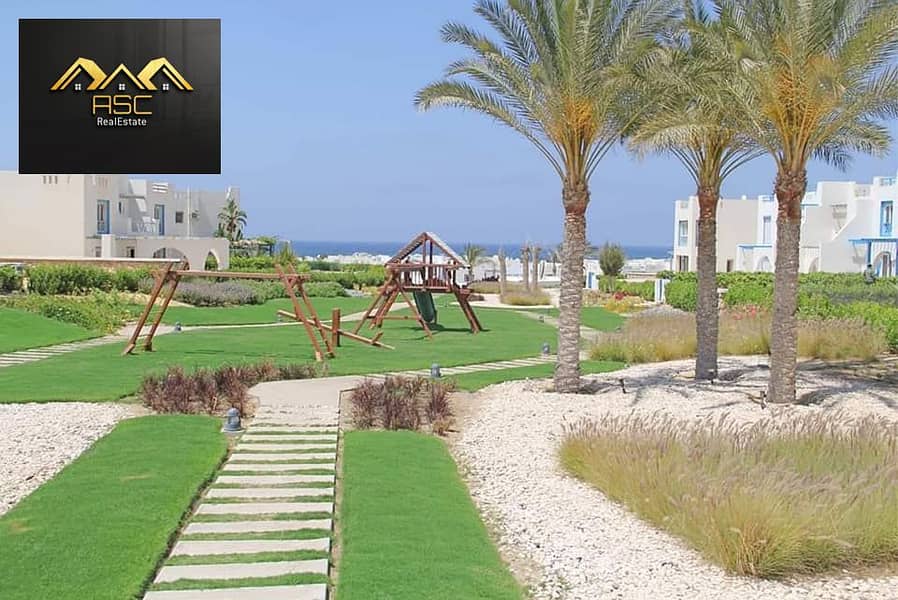 7 74940240_188393005964337_9046610909337258439_n. jpg