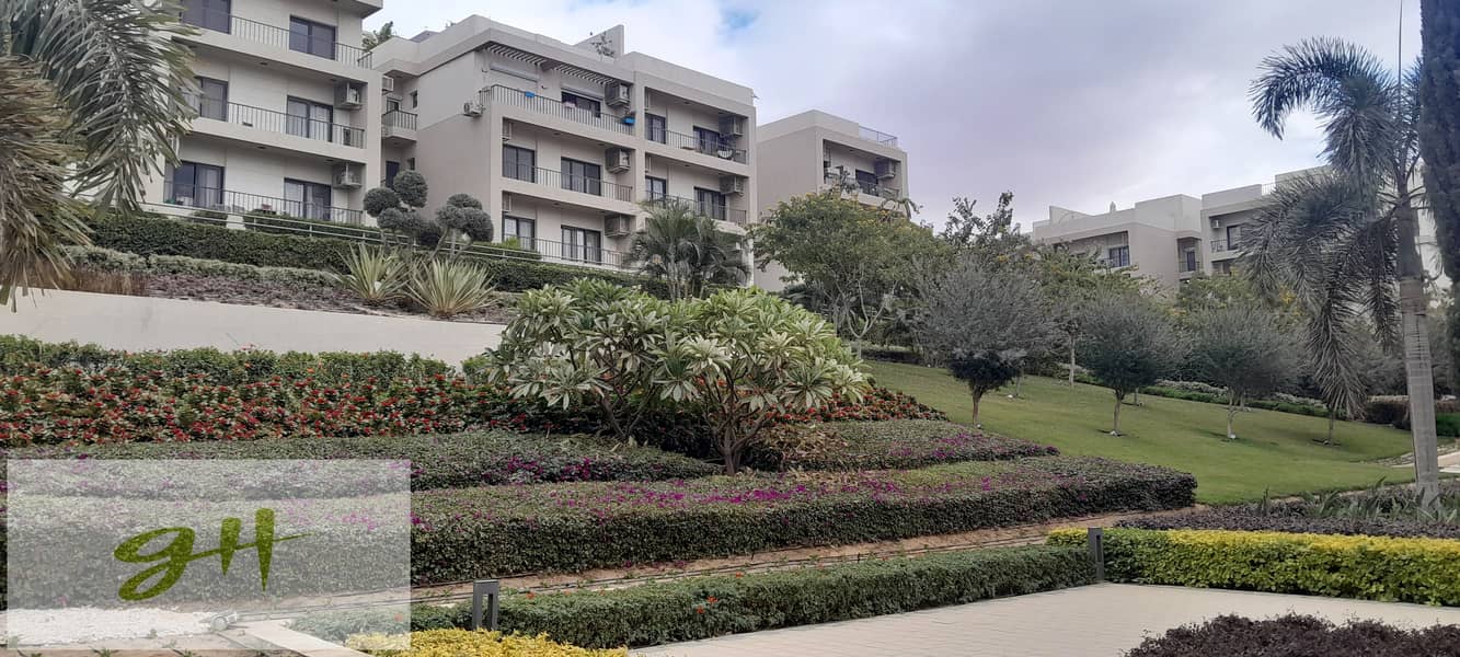 5 20251229_142448. jpg