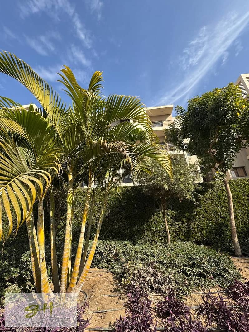 12 marassem (3). jpg