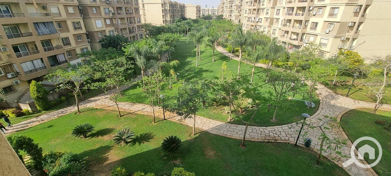 13 1806952f-e00d-48c2-b2f3-19445f163138. jpg