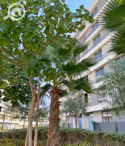 3 Bedroom Flat for Sale in Mostakbal City, Cairo - IMG_9796. jpeg